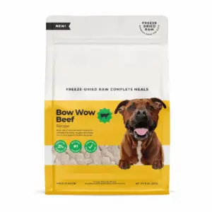 Raw Pet Food: Protecting Pets—and People—from Salmonella
